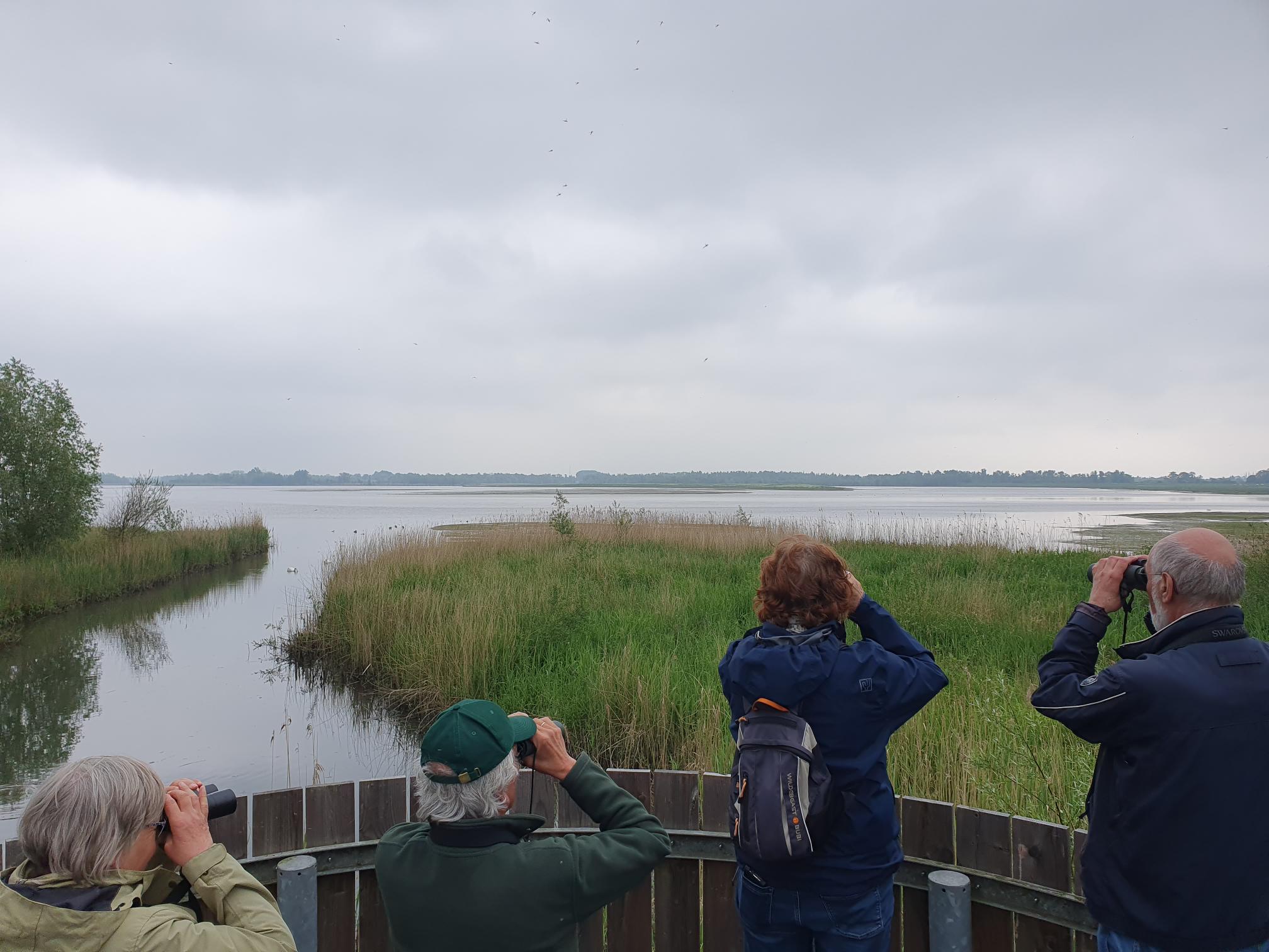 Vogelaars (Biesbosch). Foto van Johan Meijer.